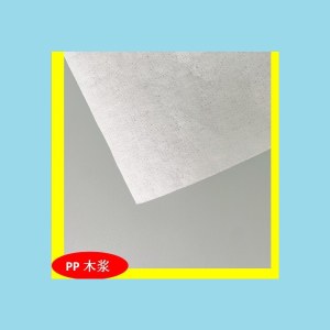 供应PP木浆平纹 电子擦拭 懒人抹布 家居清洁工业擦拭日用材料