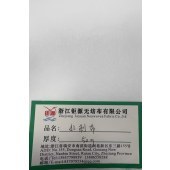 水刺无纺布50gsm